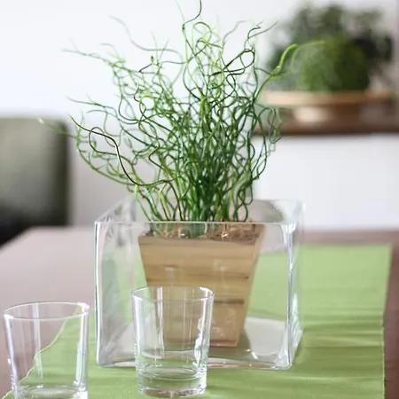 Apartment Sol Albese Con Cassano